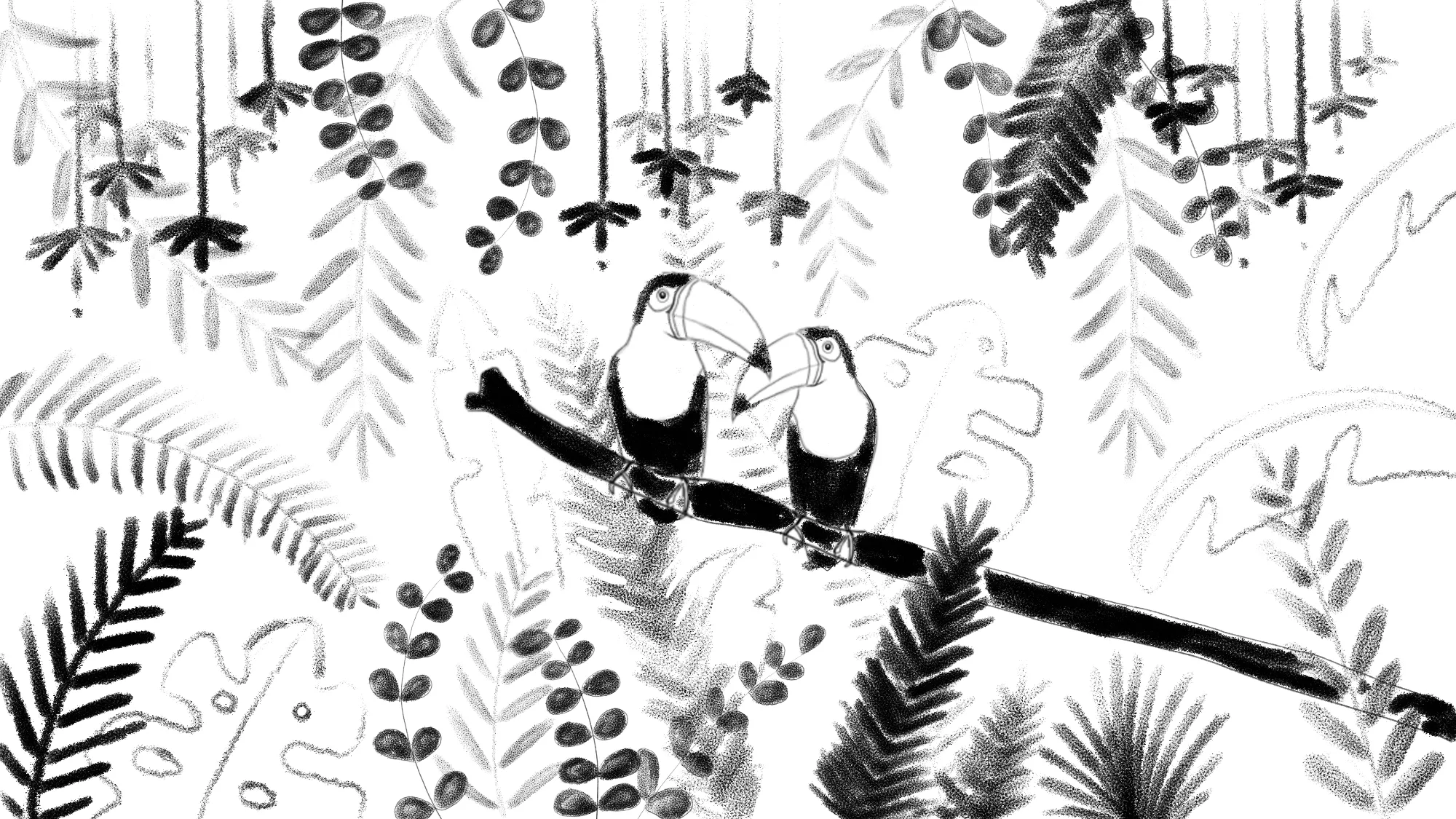 Hand-drawn toucan couple frame