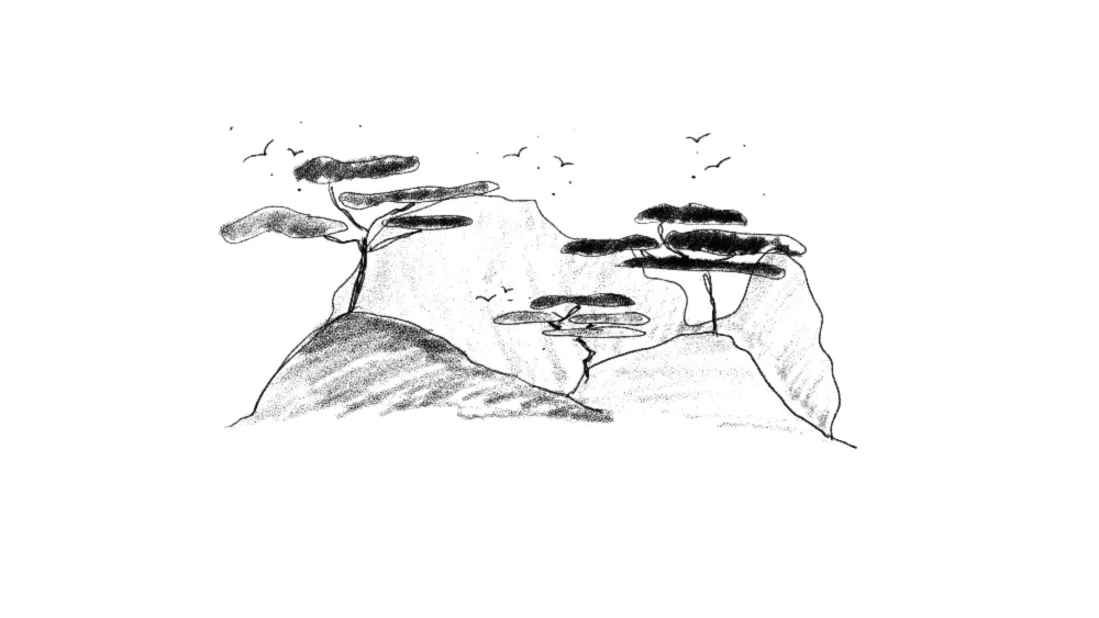 Landscape depth study